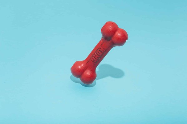Top 10 des meilleurs jouets indestructibles pour votre chien en 2023