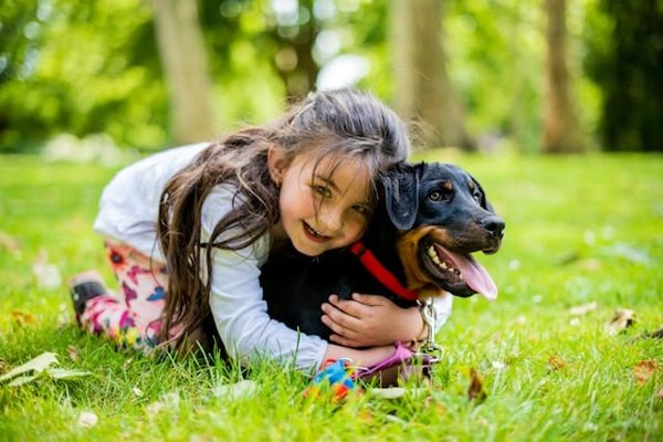 Les Meilleures Races de Chiens pour les Familles avec Enfants